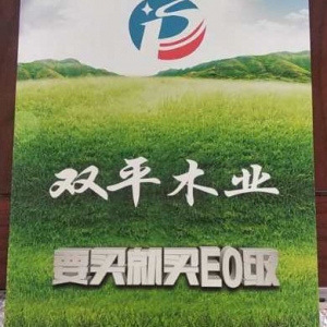 榮譽(yù)證書二