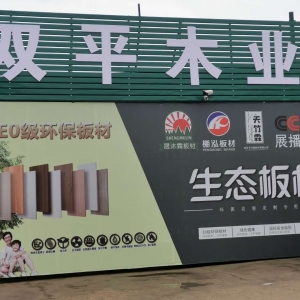 榮譽(yù)證書五