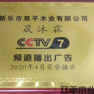榮譽(yù)證書三