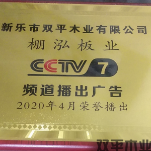 榮譽(yù)證書四